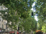 Location-pure-VL2-3598-httpwwwwallpartnersfr-PARIS